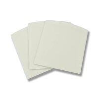 10 Klebestreifen für Fliegenfalle (Nachfüllpack)